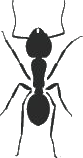 Ameisen-Sticker