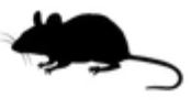 Mäuse-Sticker